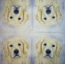 HUN-328 Hunde - 3-lagig - ppd - Kristine Andrea - CS